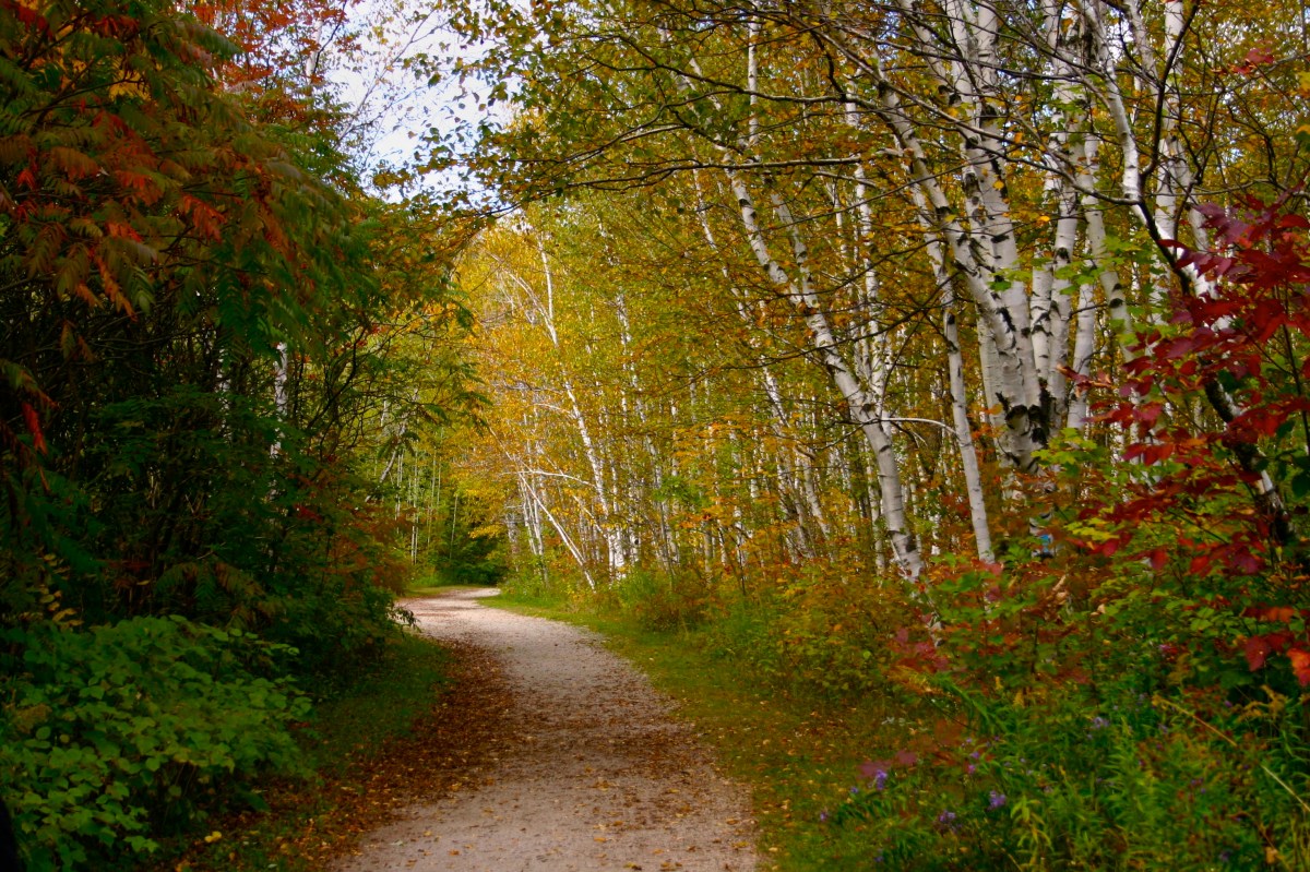 Getting Started with Financial&nbsp;Planning